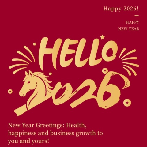 Spirito del cavallo per il nuovo anno: LFT consegna regali festivi